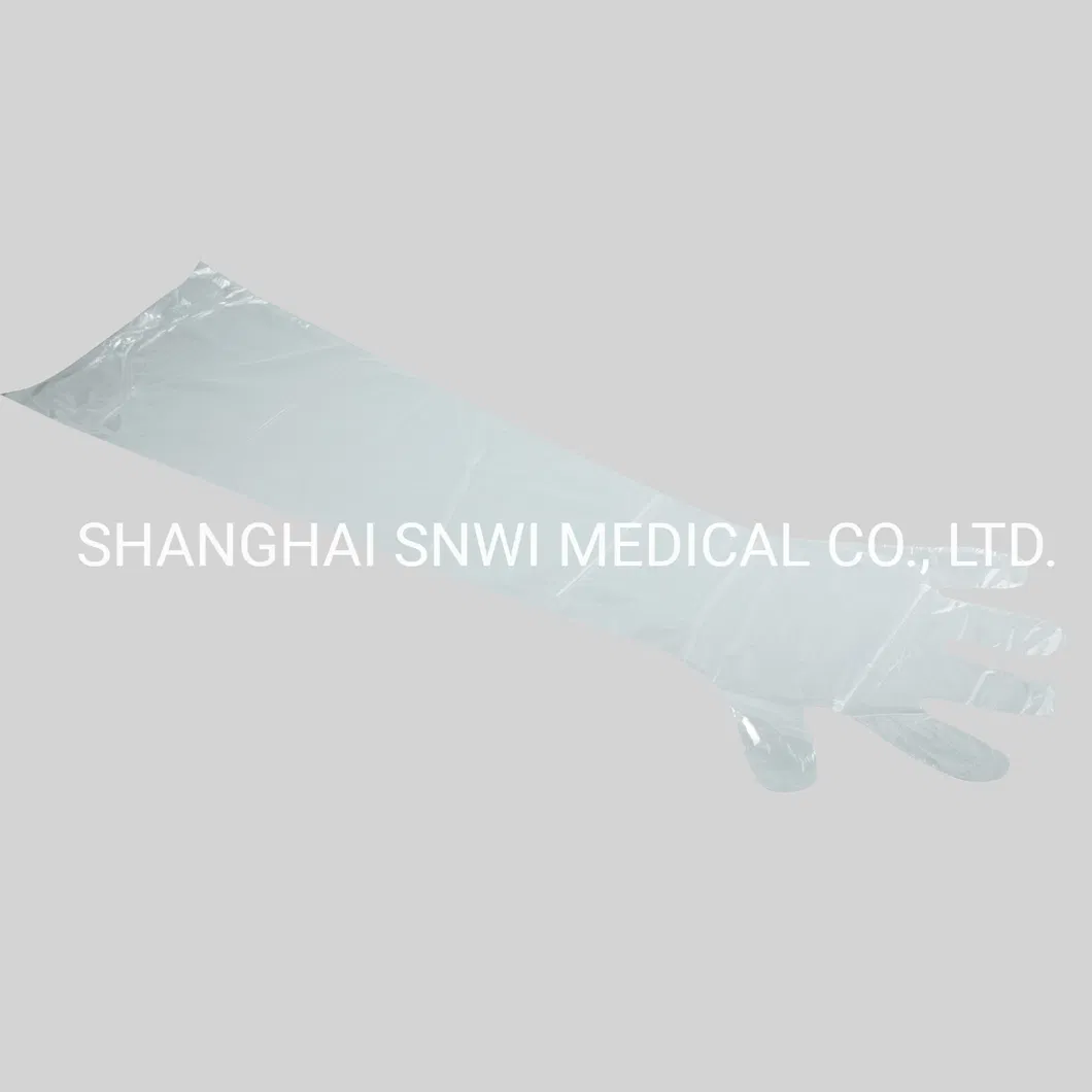 Latex Surgical Gloves Display 2