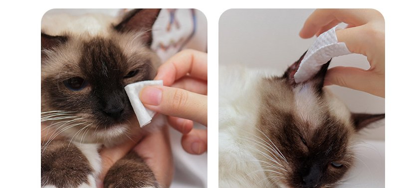 Disposable Pet Cleaning Wipes Private Label Biodegradable Gloves for Dogs and Cats