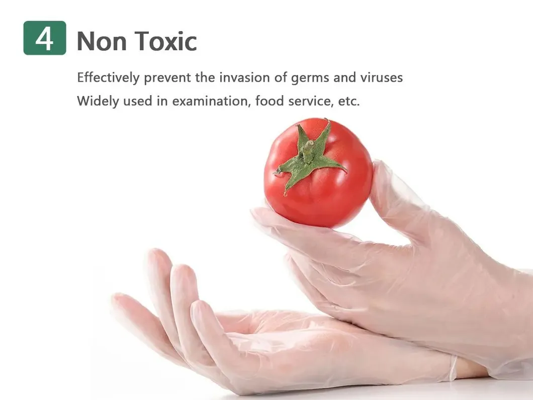 Vinyl Gloves Display 5