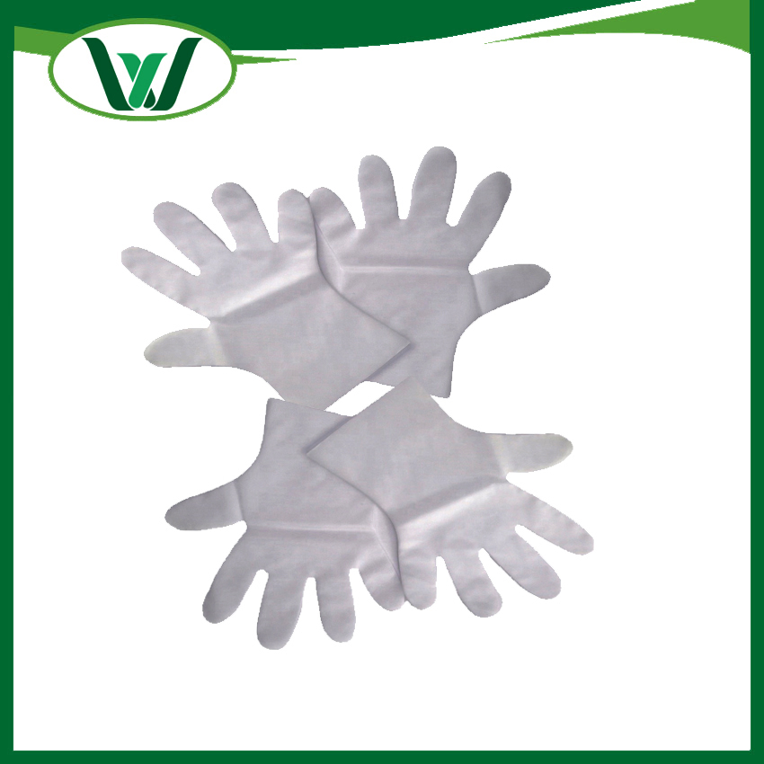 Biodegradable Long Sleeve HDPE LDPE CPE TPE PE Disposable Long Sleeve Plastic Gloves