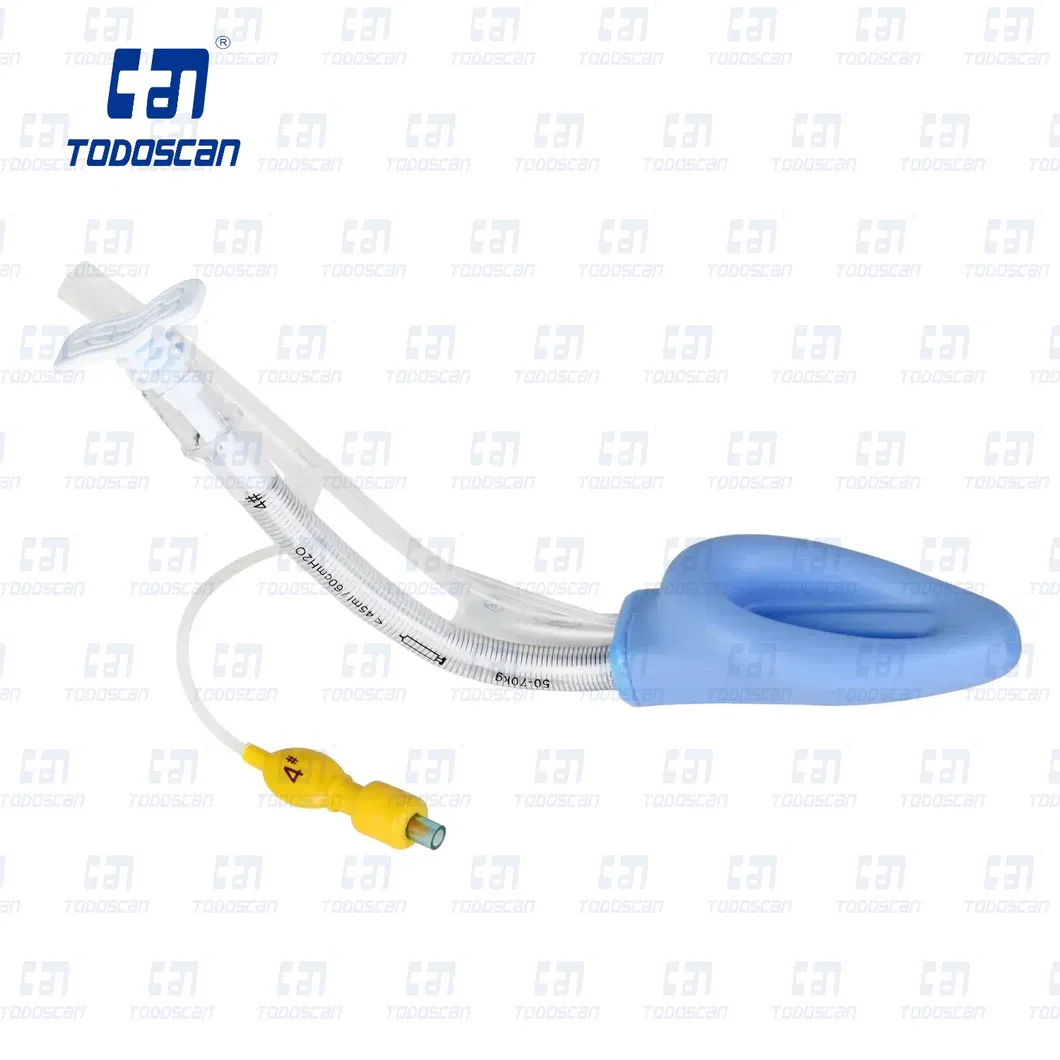 Laryngeal Mask View 4