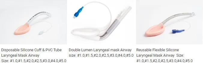 Laryngeal Mask Airway 2
