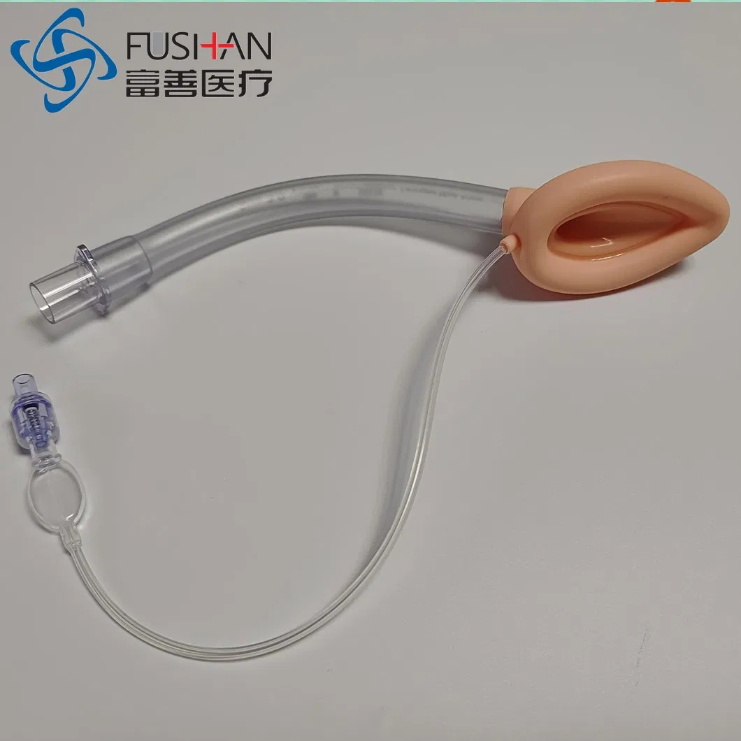 Laryngeal Mask Airway