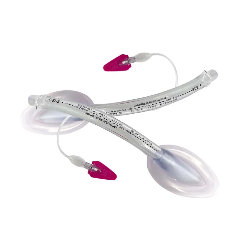 Laryngeal Mask View 4