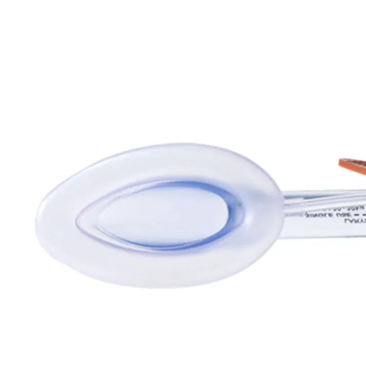 Laryngeal Mask View 2