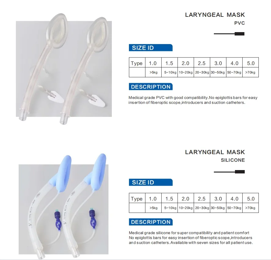 Laryngeal Mask Detail