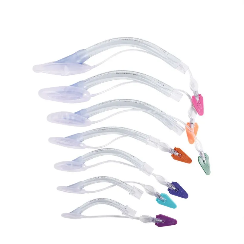 Laryngeal Mask View 1