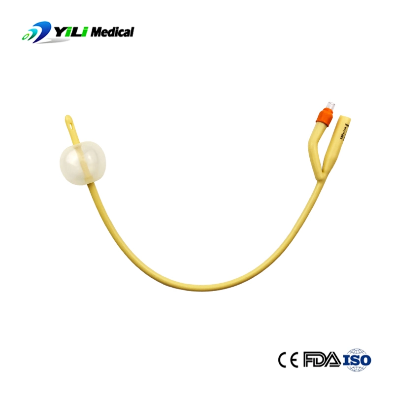 Medical Disposable Indwelling Urinary Catheter 2 Way Foley Catheter Balloon Fr06 to Fr30
