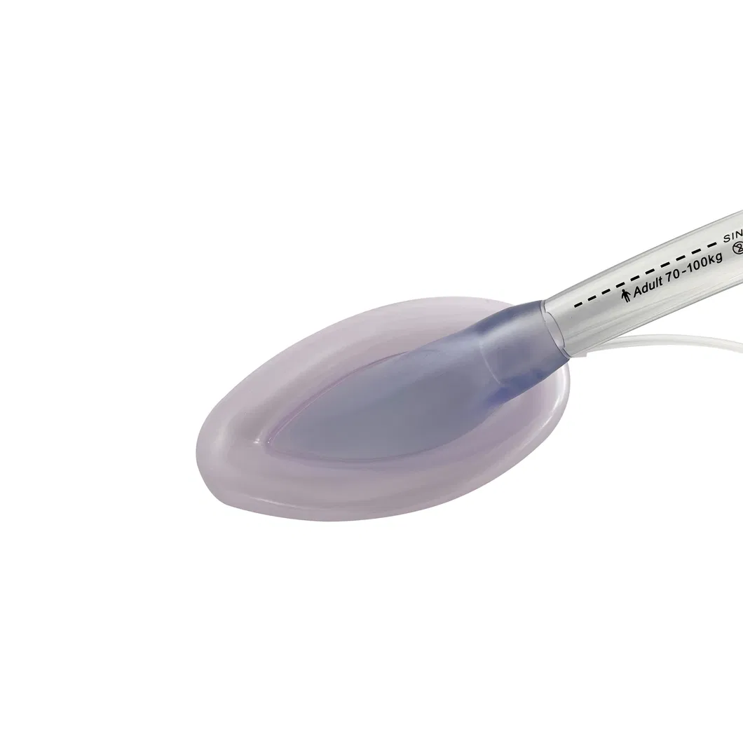 Laryngeal Mask View 6