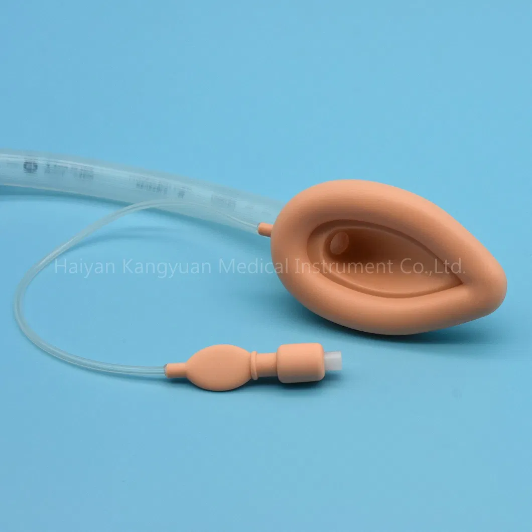 Laryngeal Mask Airway View 4
