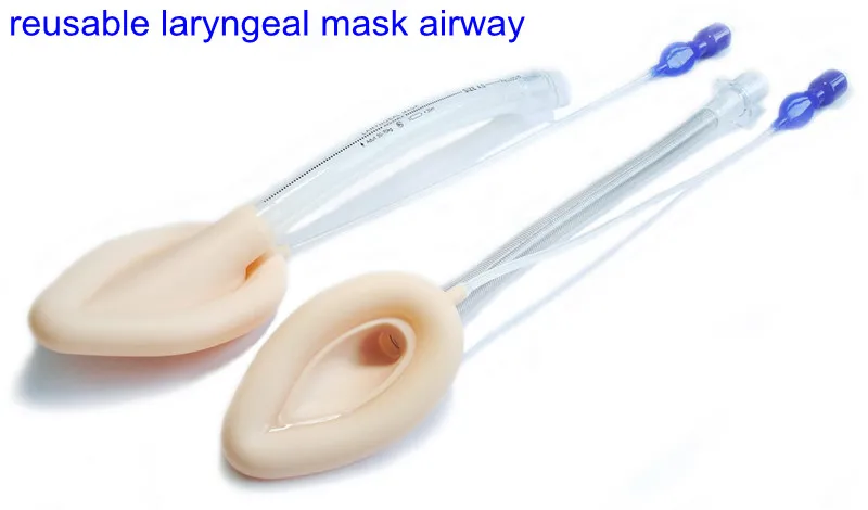Laryngeal Mask View 1