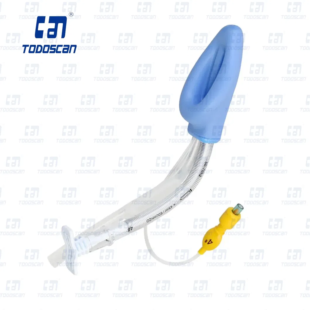 Laryngeal Mask View 3