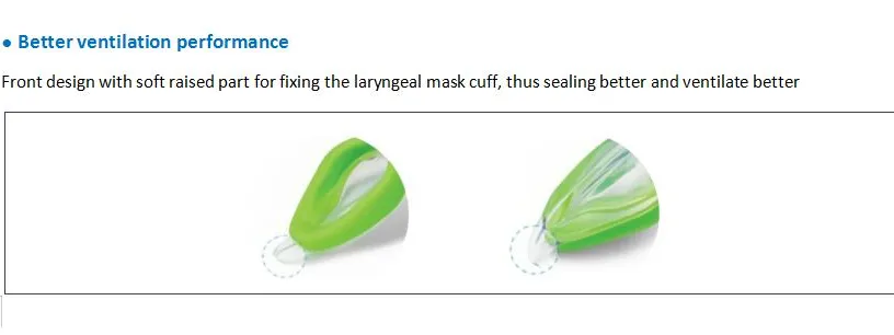 Double Lumen Structure