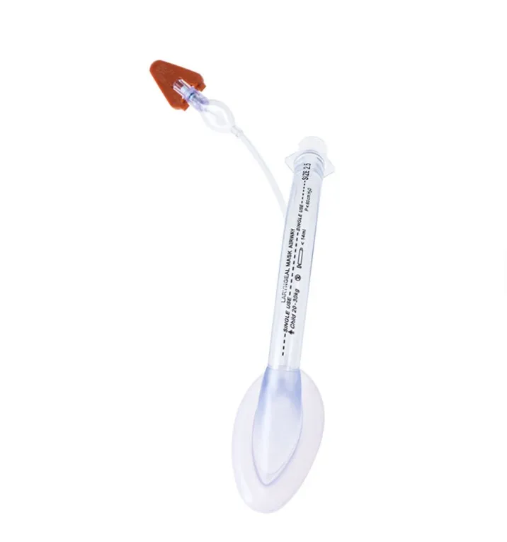 Laryngeal Mask View 5