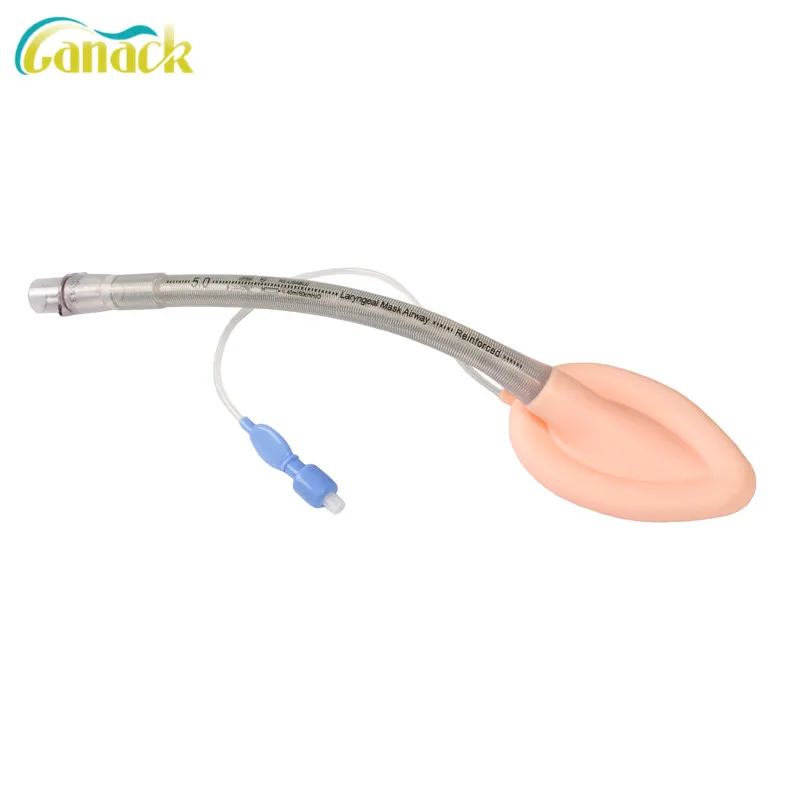 Reinforced Silicone Laryngeal Mask Airway Detail 2