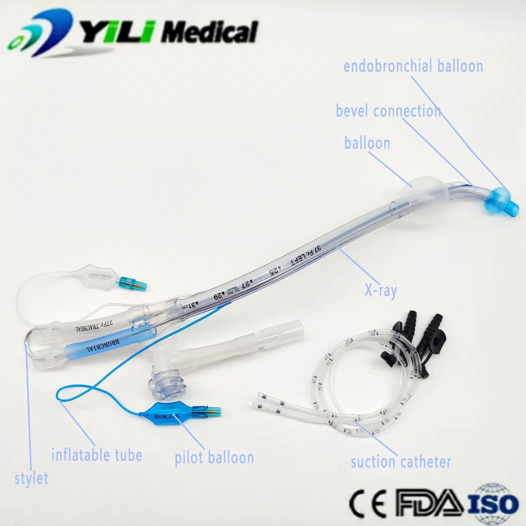 Double Lumen Endotracheal Tube Detail