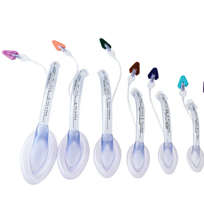 Laryngeal Mask View 1