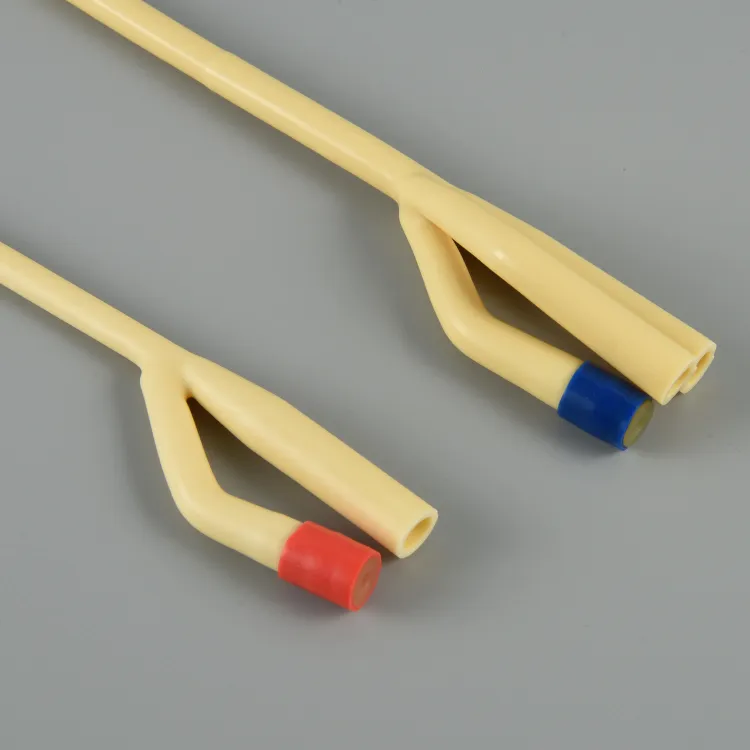 Foley Catheter Detail 1