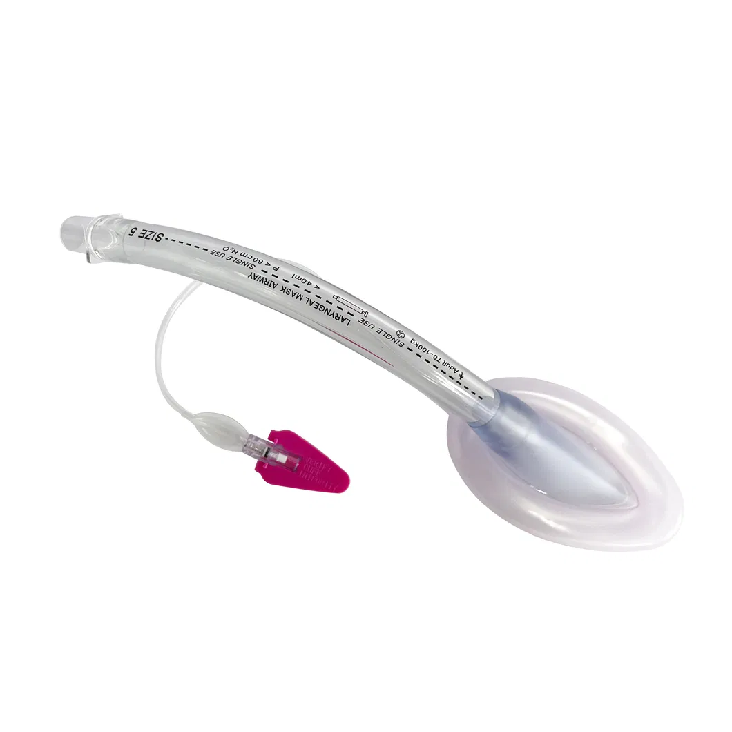 Laryngeal Mask View 3