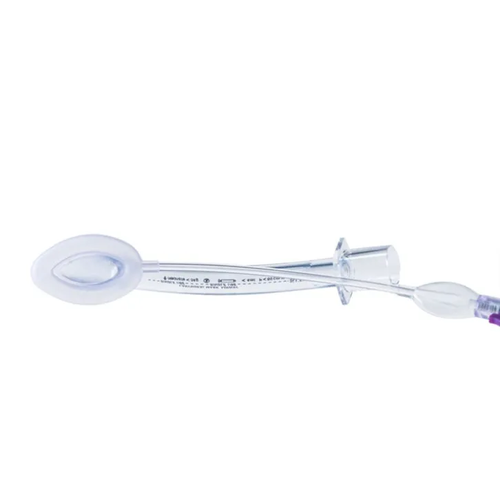 Laryngeal Mask View 6