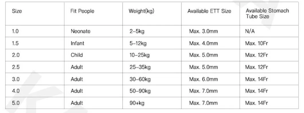 Laryngeal Mask Details