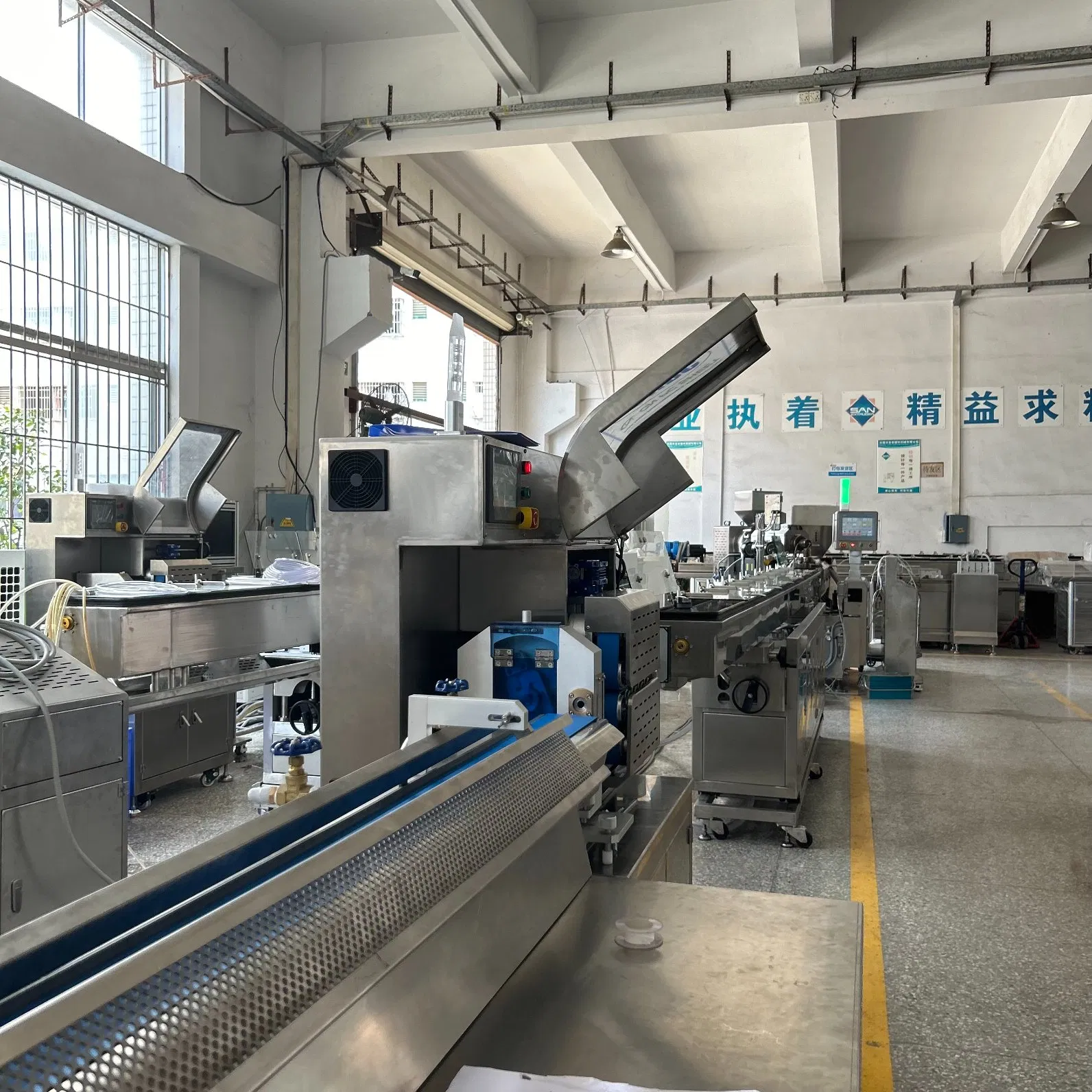 Dual-Extruder Co-Extrusion Line for Color-Striped Multi-Lumen Endotracheal Tubes