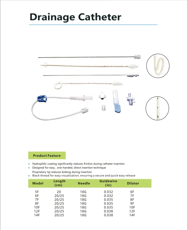 Detailed Catheter View