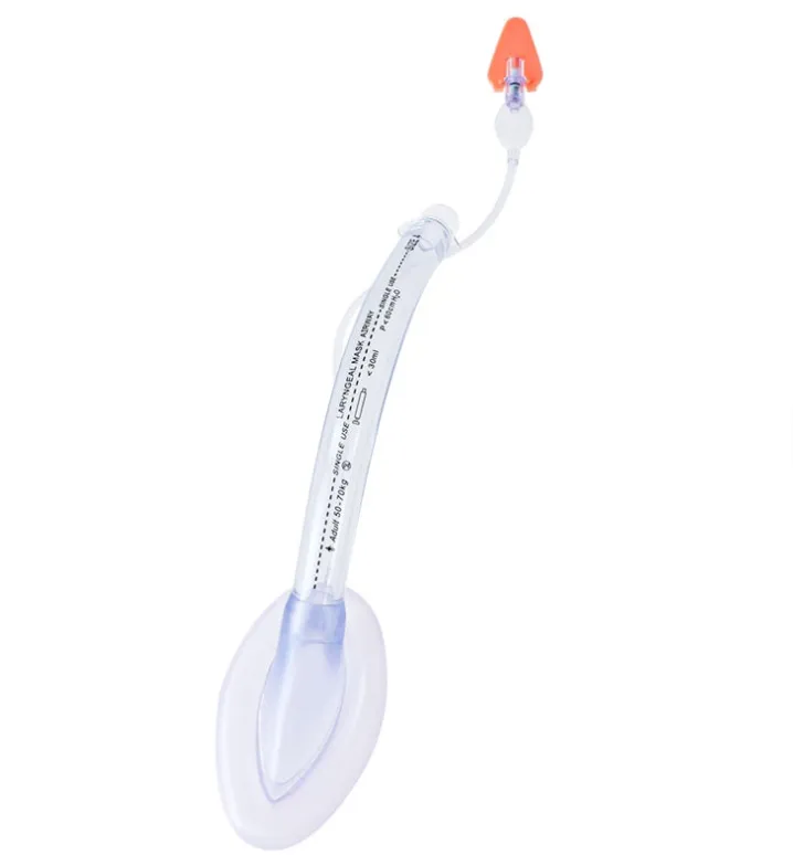 Laryngeal Mask View 4