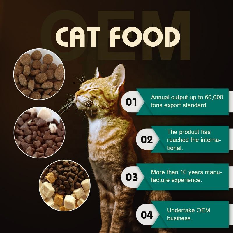 Fábrica de Comida para Gatos OEM Alta Nutrición Sabor Variado Comida Seca para Gatos Adultos de Raza Pequeña