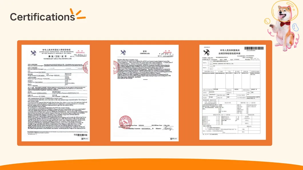Certificado 2