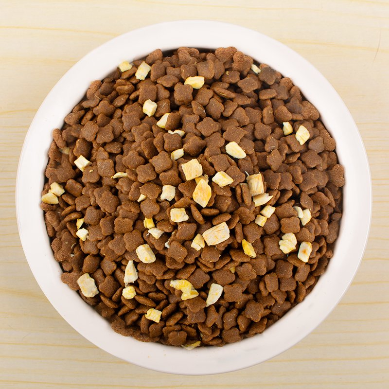 Comida seca natural para gatitos de marca privada OEM ODM a granel 20kg 10kg 5kg bocadillos interactivos para mascotas baratos comida holística para perros al por mayor