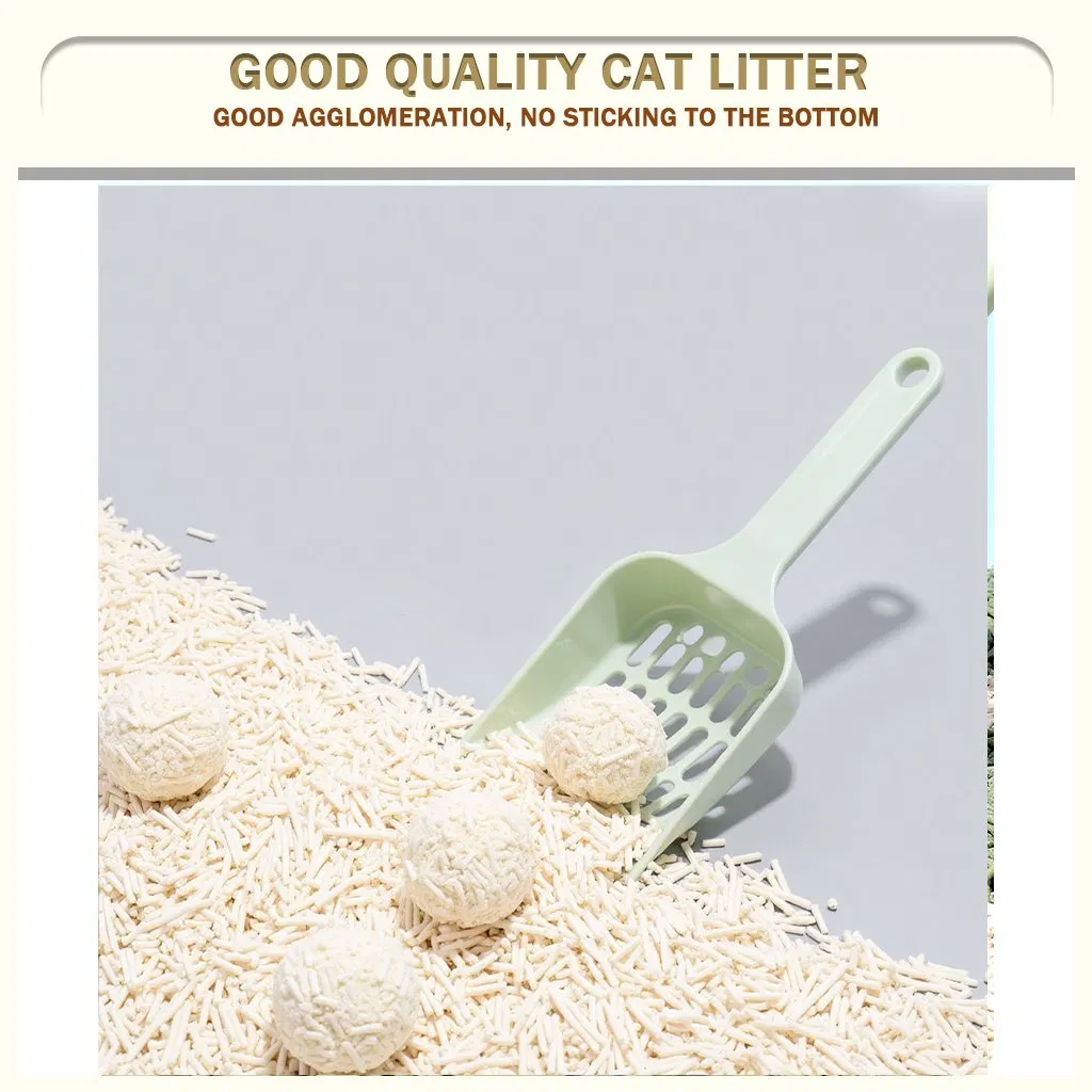 Productos para mascotas OEM/ODM, arena para gatos de tofu, material a base de plantas, fibra de soja, desechable