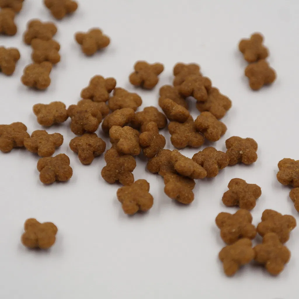 Alimento seco para gatos, nutrición, alimento para gatitos