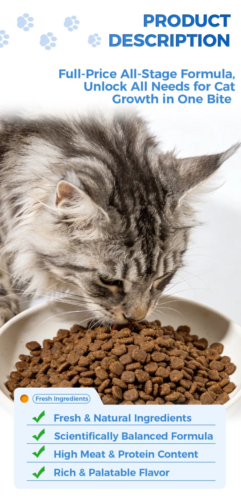 Dieta equilibrada para adultos y gatitos