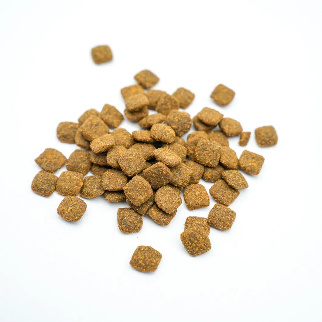 Nutrición felina