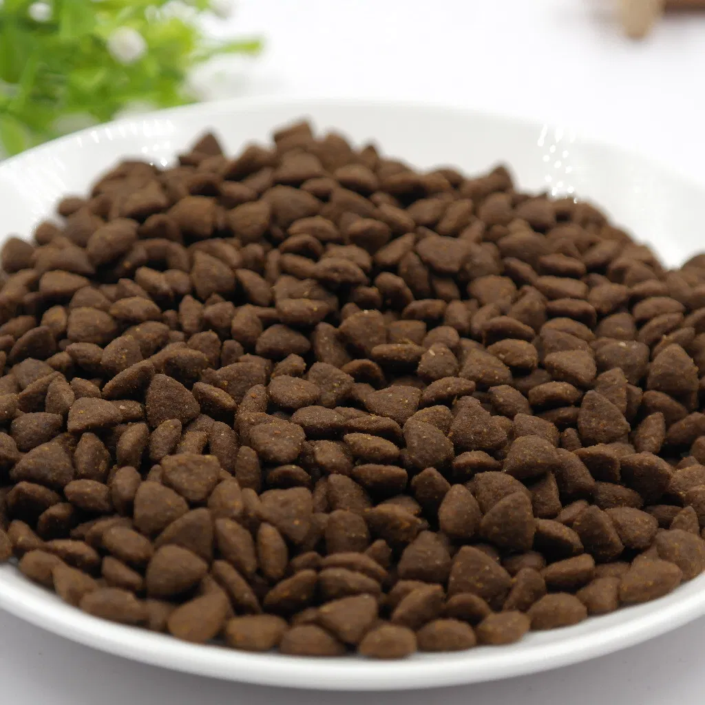 Mejor Sabor Comida para Perro Comida para Gatito Comida Seca para Perro y Gato