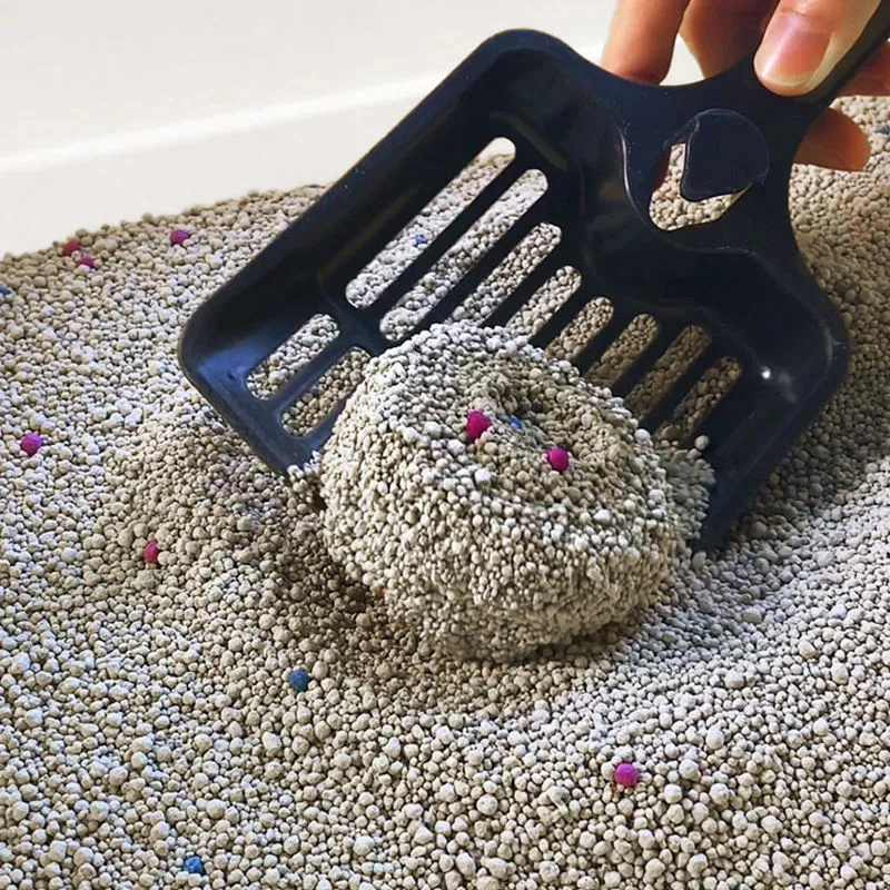 Arena de bentonita para gatos