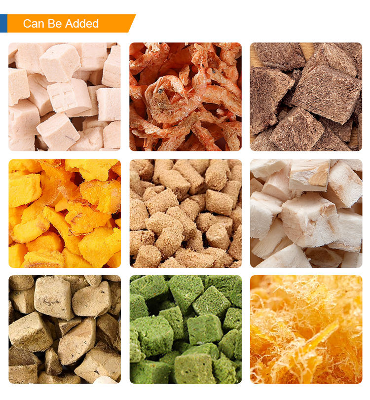 Fábrica Mayorista OEM Comida Seca para Gatos 1kg 2.5kg 10kg Sin Granos Pollo Pescado Comida Seca para Gatos Adultos y Gatitos