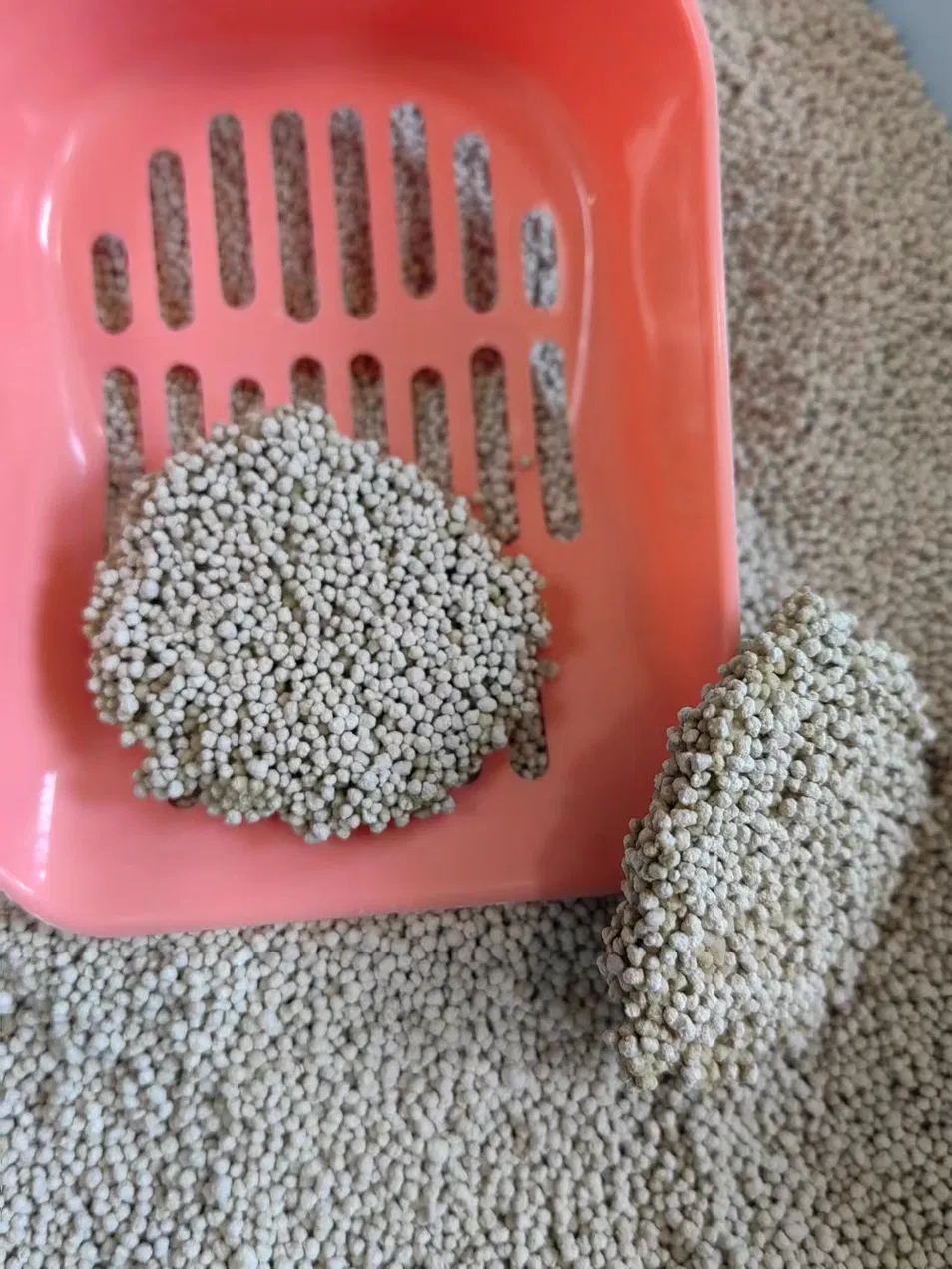 Control de absorción