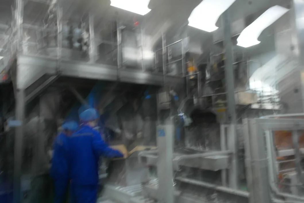 Línea de producción