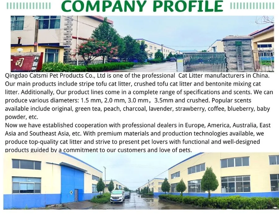 Arena para gatos 5