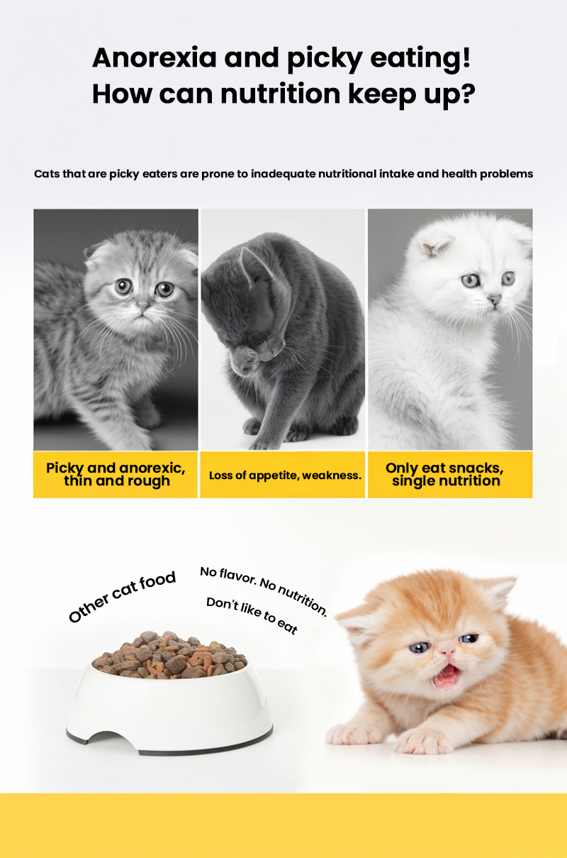 Productos de Catálogo al por mayor Comida Seca Bolsa Adulto Mascota Empaque Personalizado 1.5kg 2kg 3-20kg 100% Comida Natural para Mascotas Golosinas para Gatos