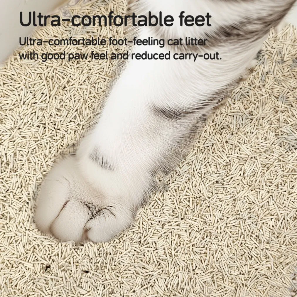 Suministro de accesorios para mascotas arena para gatos libre de polvo material natural arena para gatos ligera biodegradable ecológica aglomerante arena para gatos de tofu OEM