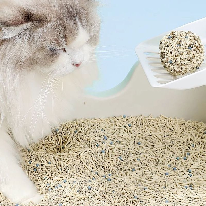 Arena para gatos de tofu de alta calidad, todo tipo de aglutinante natural, control de olores