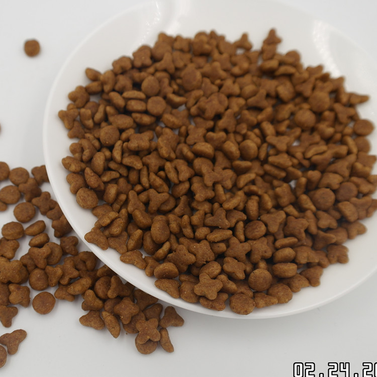 Alimento seco para gatos, nutrición, alimento para gatitos
