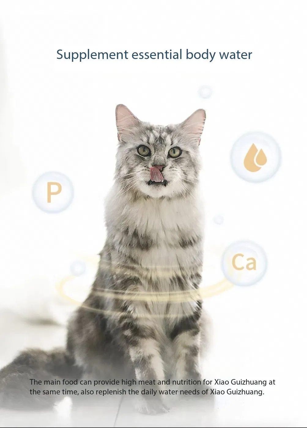 Comida para gatos seca y enlatada personalizable sin granos OEM/ODM