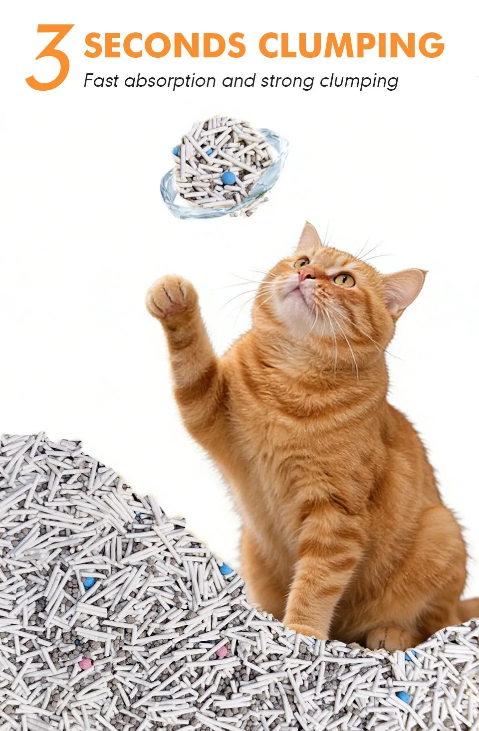 Arena para gatos Tofu 2