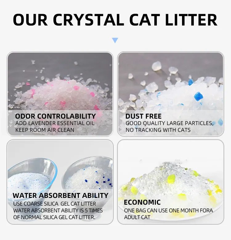 Grandes Descuentos por Mayor Arena para Gatos de Mascota Gato Gatito