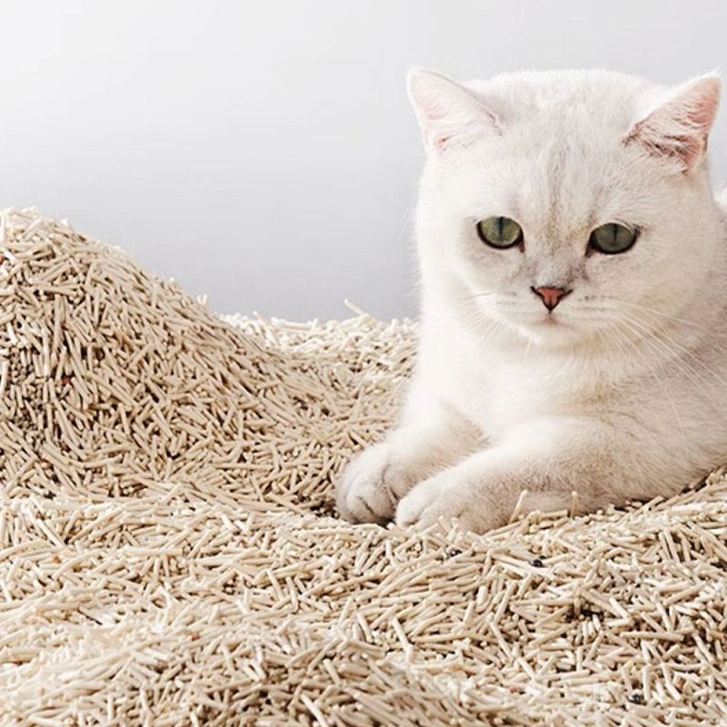 Arena para gatos de tofu de alta calidad, todo tipo de aglutinante natural, control de olores