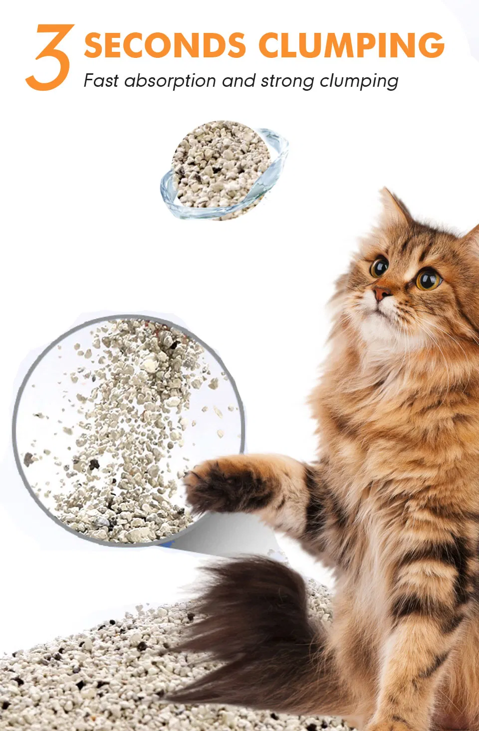 Arena Premium de Bentonita para Gatos